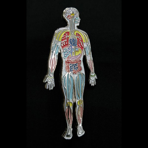 アナトミーピンバッチ 全身解剖図（Anatomy Body Pin）