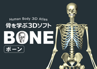 骨を学ぶ３DソフトBONE(ボーン)